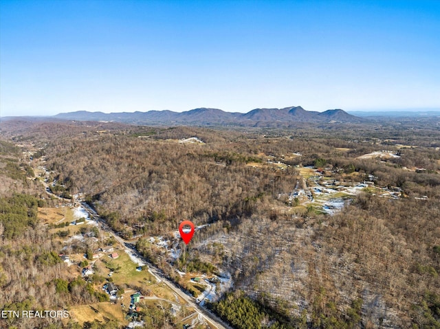 515 Wallace Rd, Luttrell, TN 37779 - photo 12