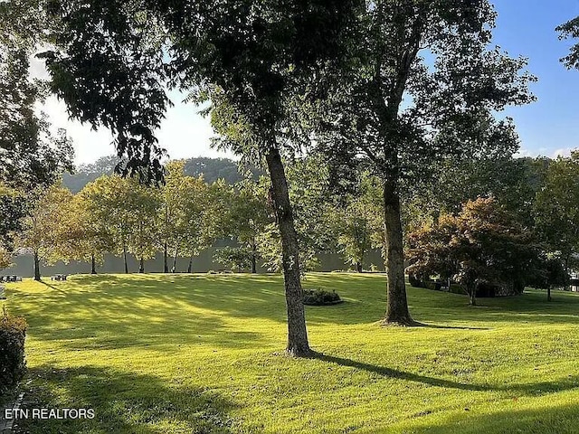 view of property's community with a lawn