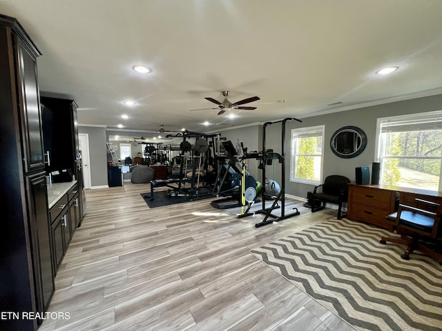 workout room featuring ceiling fan, ornamental molding, and light hardwood / wood-style flooring