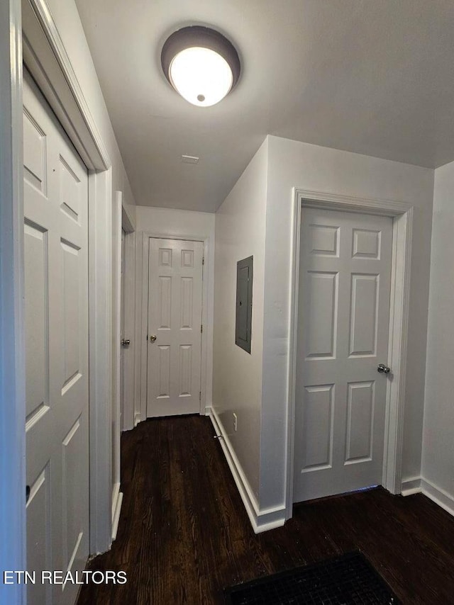 corridor featuring electric panel and dark hardwood / wood-style floors