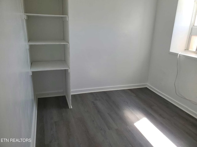 interior space with dark hardwood / wood-style floors