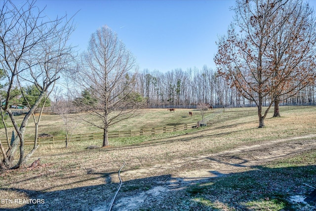 view of yard with a rural view