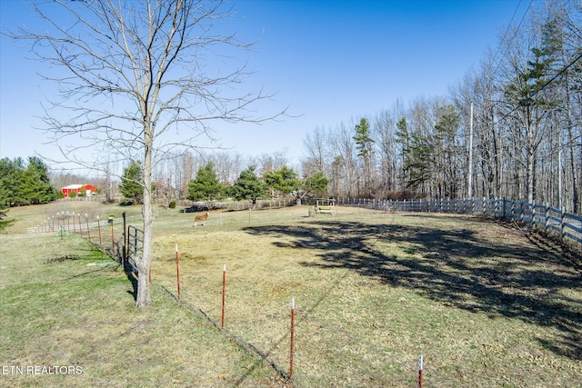 view of yard with a rural view