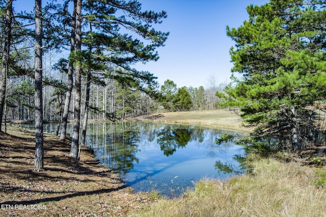 view of water feature