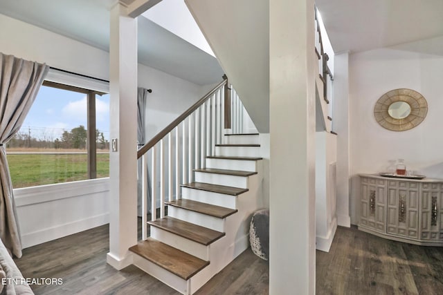 staircase with wood-type flooring