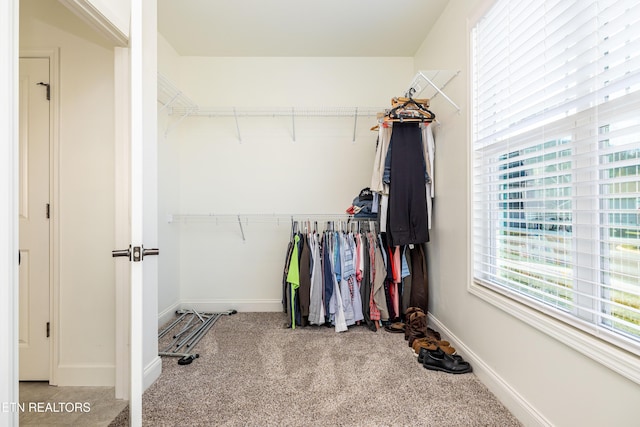 spacious closet with carpet