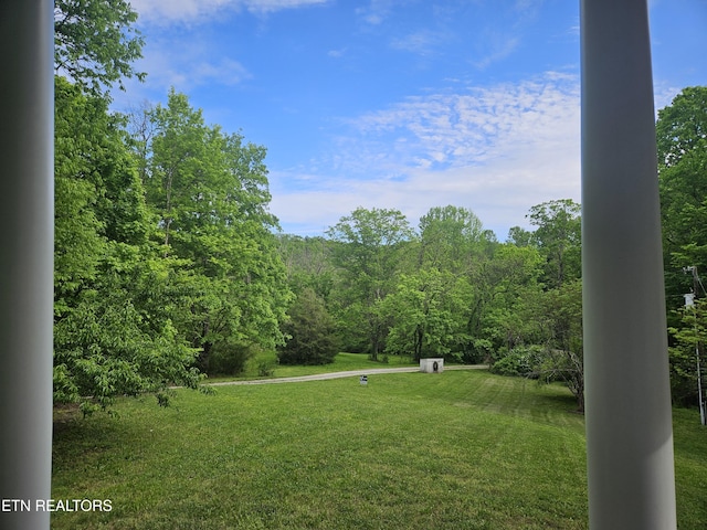 view of yard featuring a forest view