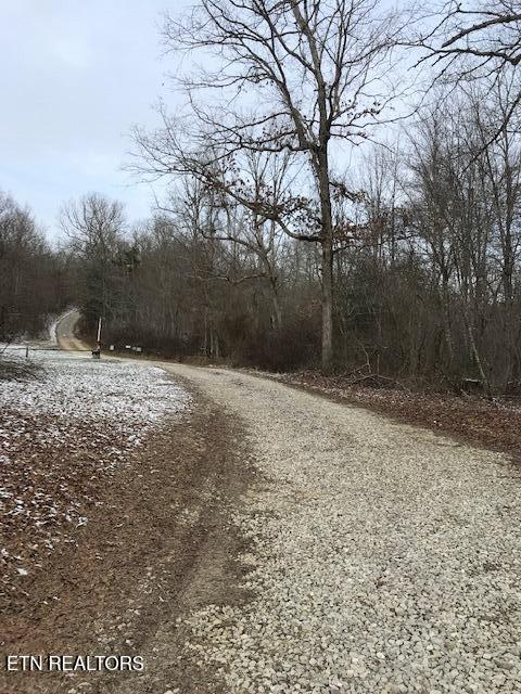 101001.01 Sheep Ranch Rd, Robbins TN, 37852 land for sale