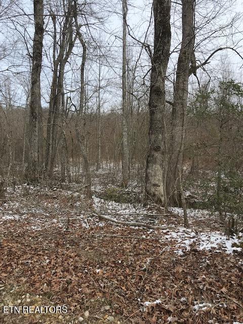 Listing photo 3 for 101001.01 Sheep Ranch Rd, Robbins TN 37852