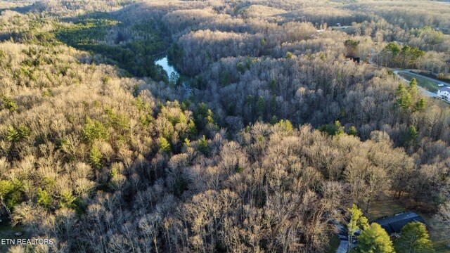 069145.00 Letner Rd, Helenwood, TN 37755