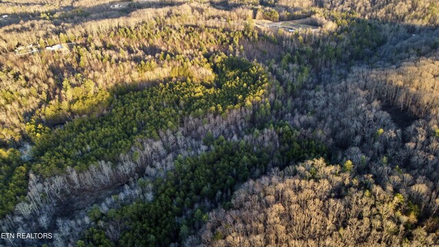 069145.00 Letner Rd, Helenwood, TN 37755