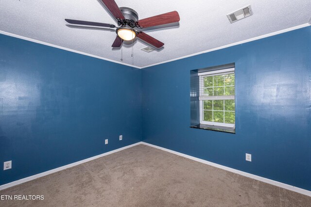 1705 Blackwood Dr, Knoxville, TN 37923 - photo 27
