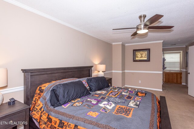 1705 Blackwood Dr, Knoxville, TN 37923 - photo 31
