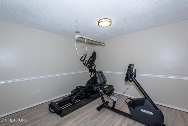 1705 Blackwood Dr, Knoxville, TN 37923 - photo 44