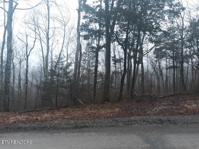 Listing photo 2 for Crab Mountain Rd, Jamestown TN 38556