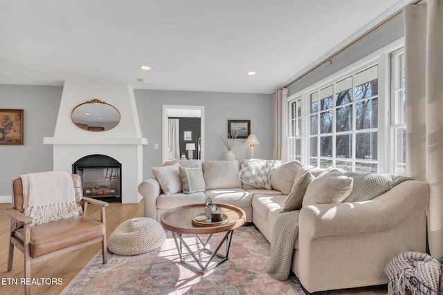 living room featuring a fireplace and light wood-type flooring