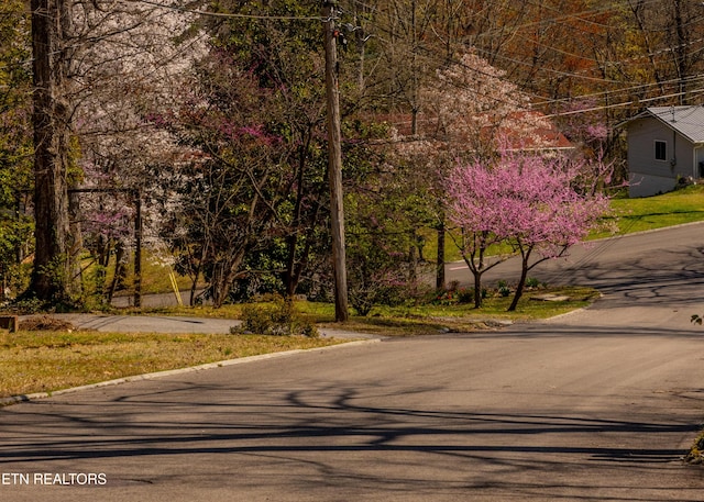 view of asphalt road