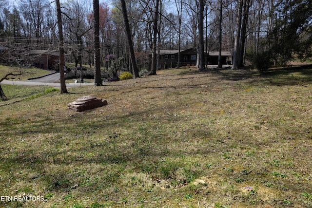 view of yard