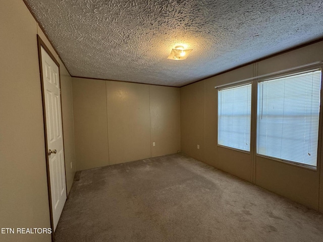 spare room featuring light colored carpet and a textured ceiling