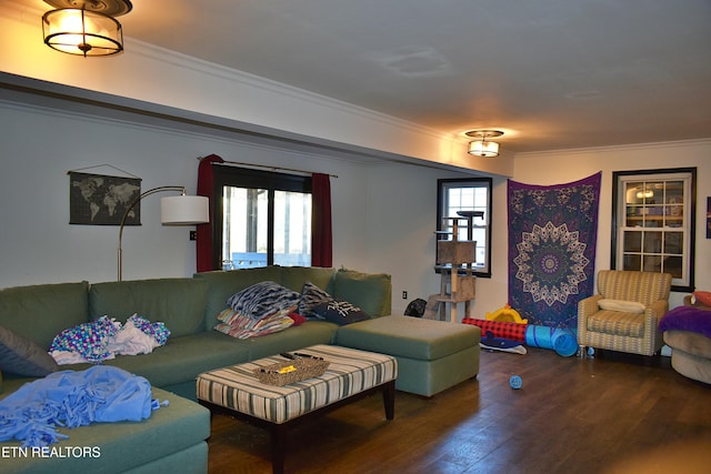 living room featuring hardwood / wood-style flooring and ornamental molding