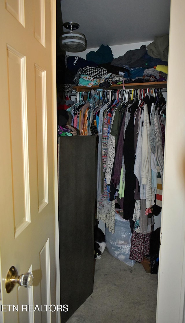 walk in closet with carpet