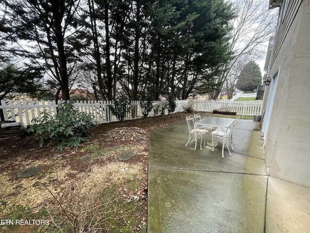 view of yard featuring a patio area