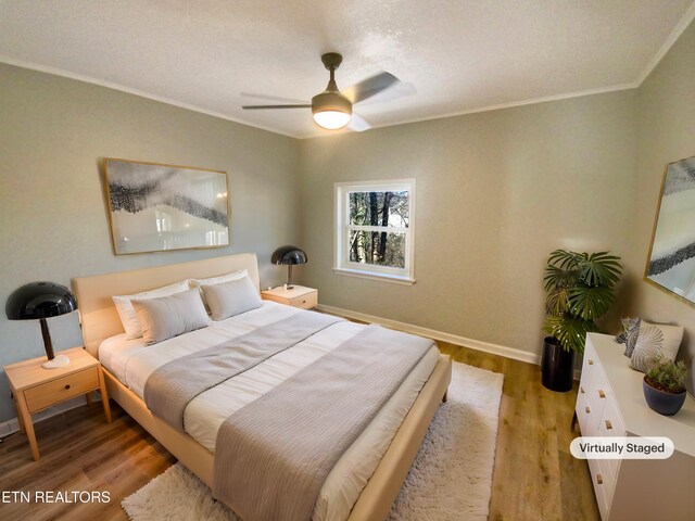829 Spring Dr, Knoxville, TN 37920 - photo 4