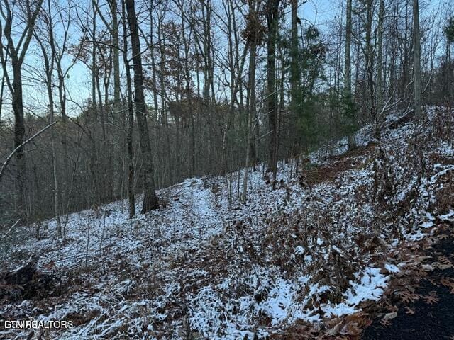 LOT2 High Ridge Way, Sevierville TN, 37862 land for sale