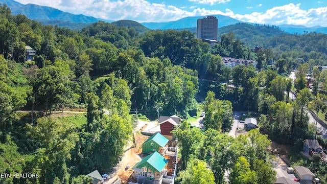 birds eye view of property featuring a mountain view