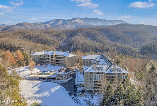 aerial view with a mountain view