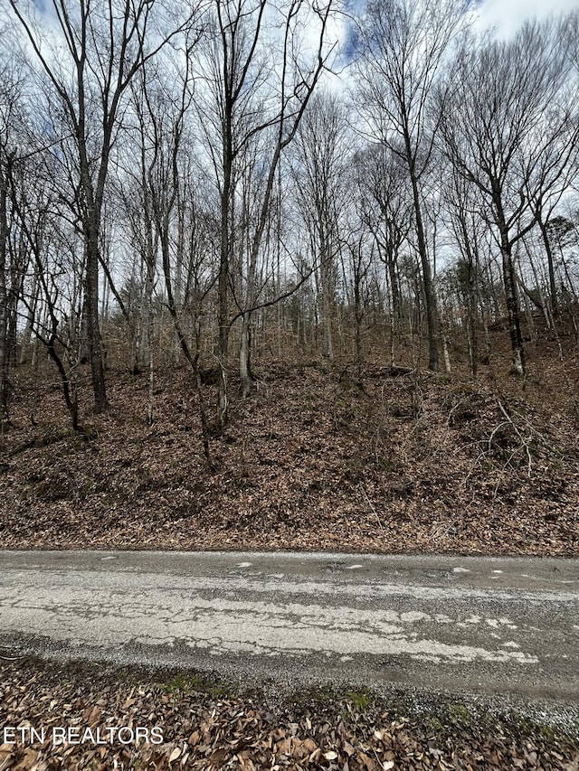 0 Paint Rock Crk, Oneida TN, 37841 land for sale