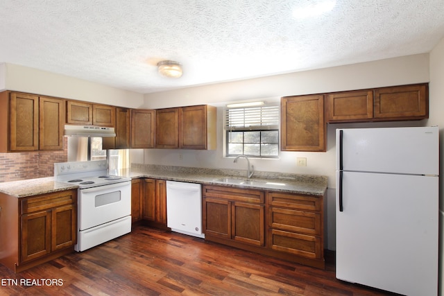 kitchen with white appliances, dark wood finished floors, brown cabinetry, under cabinet range hood, and a sink