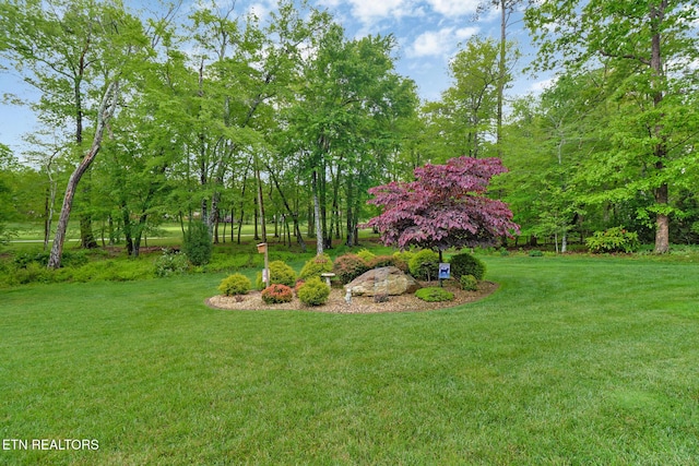 56 Westridge Ct, Fairfield Glade, TN 38558 - view of grassy yard