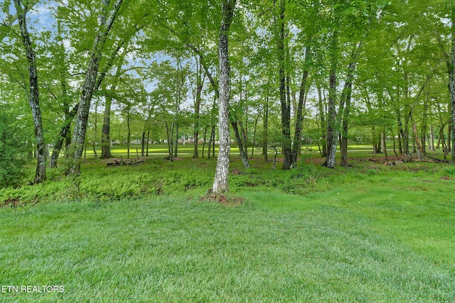 56 Westridge Ct, Fairfield Glade, TN 38558 - view of yard