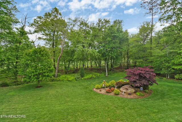 56 Westridge Ct, Fairfield Glade, TN 38558 - view of green lawn