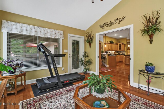 56 Westridge Ct, Fairfield Glade, TN 38558 - exercise room featuring dark wood-type flooring, baseboards, and high vaulted ceiling