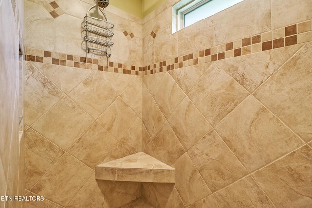56 Westridge Ct, Fairfield Glade, TN 38558 - bathroom view of a tile shower