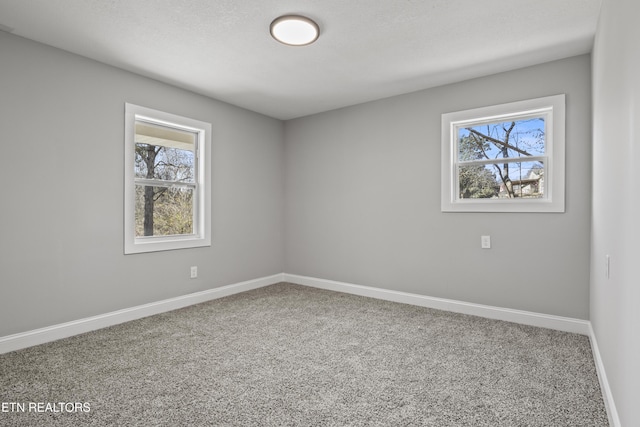 empty room featuring a textured ceiling, carpet flooring, a wealth of natural light, and baseboards