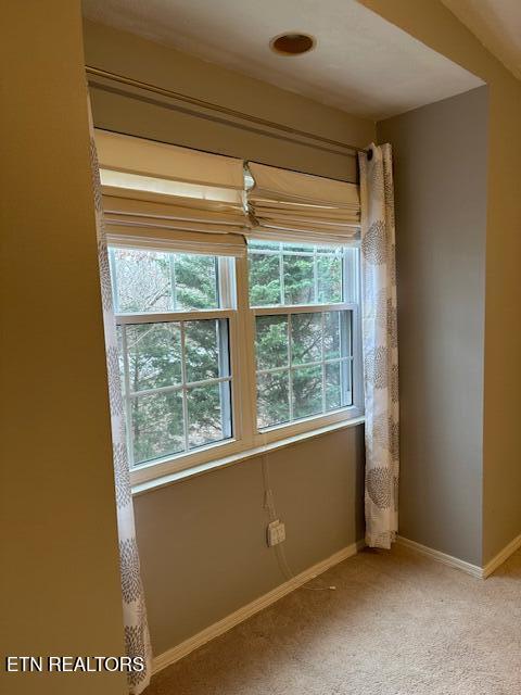 unfurnished room featuring light colored carpet