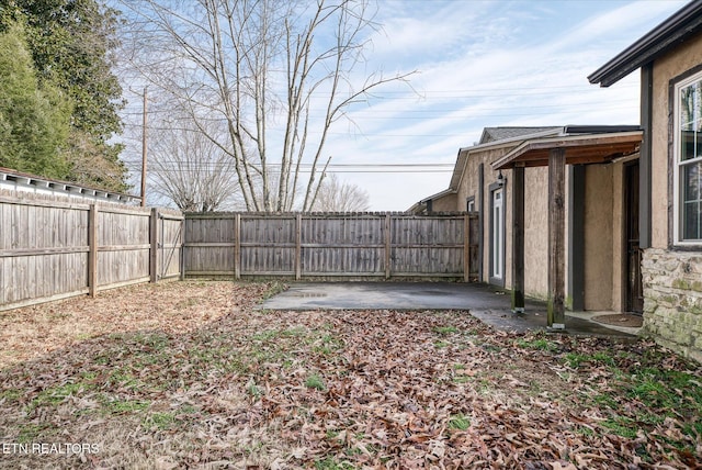 view of yard featuring a patio