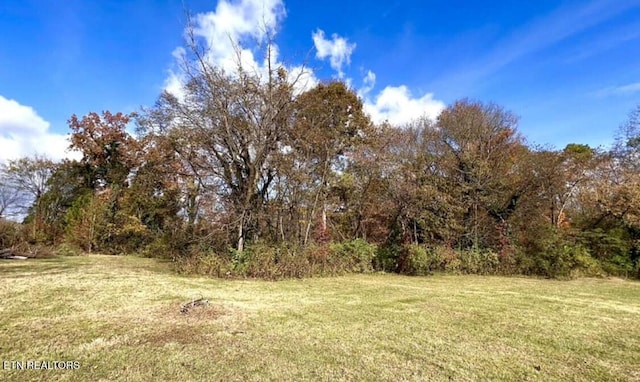 525 Kingwood St, Kingston TN, 37763 land for sale