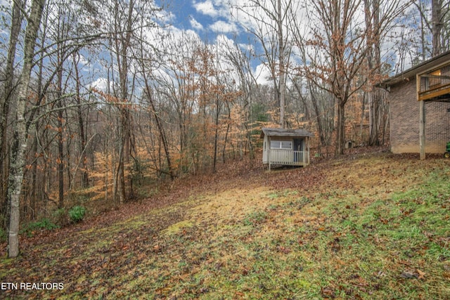 view of yard with a storage shed