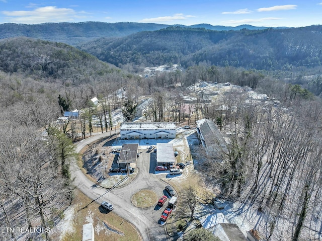 birds eye view of property featuring a mountain view