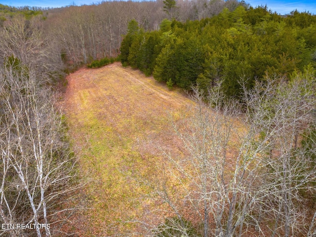 Listing photo 3 for LOT8 Lonesome Pine Rd, Bybee TN 37713