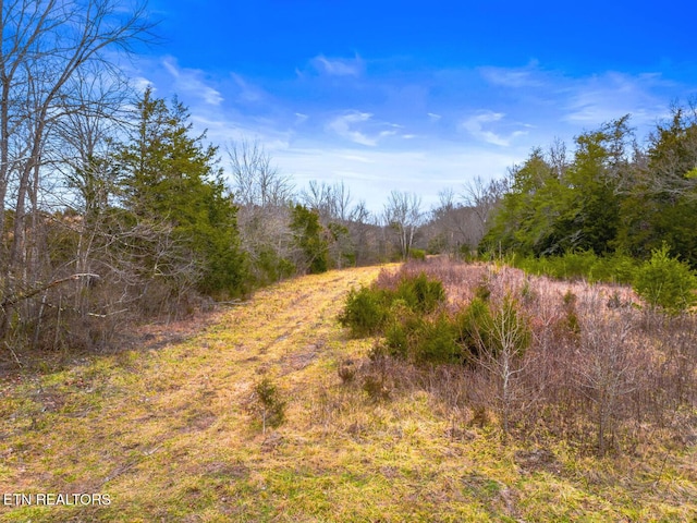 LOT8 Lonesome Pine Rd, Bybee TN, 37713 land for sale