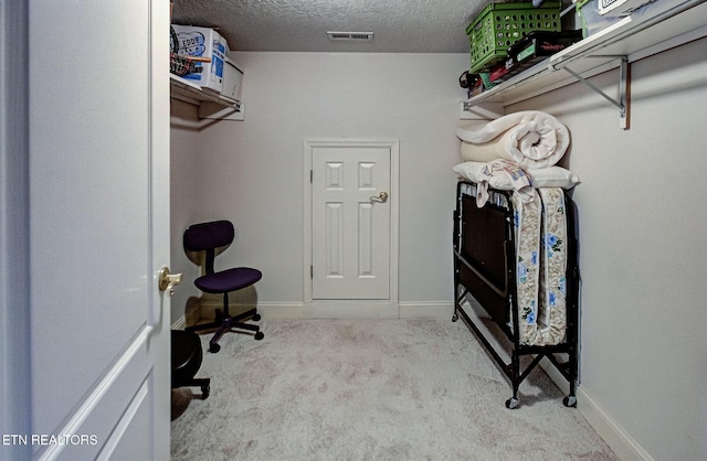 spacious closet with light carpet