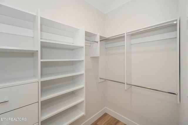 walk in closet with wood-type flooring