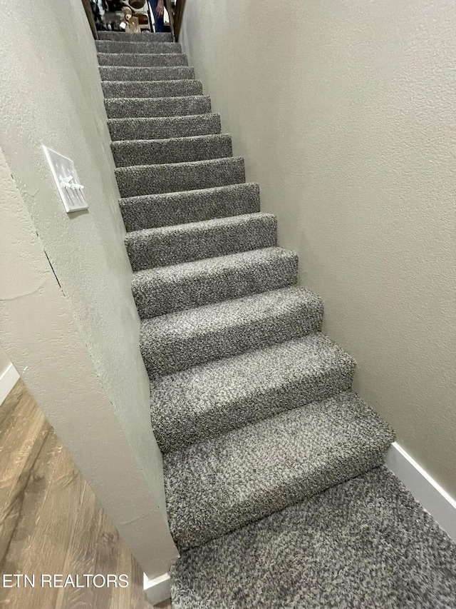 stairway with hardwood / wood-style flooring