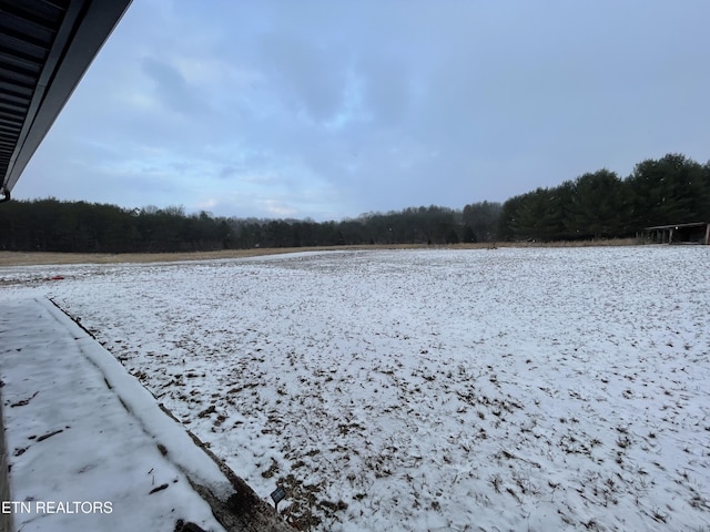 view of yard layered in snow