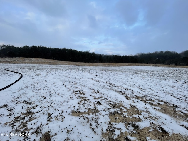 view of yard covered in snow